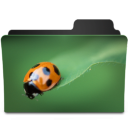 Bug I Icon 128x128 png